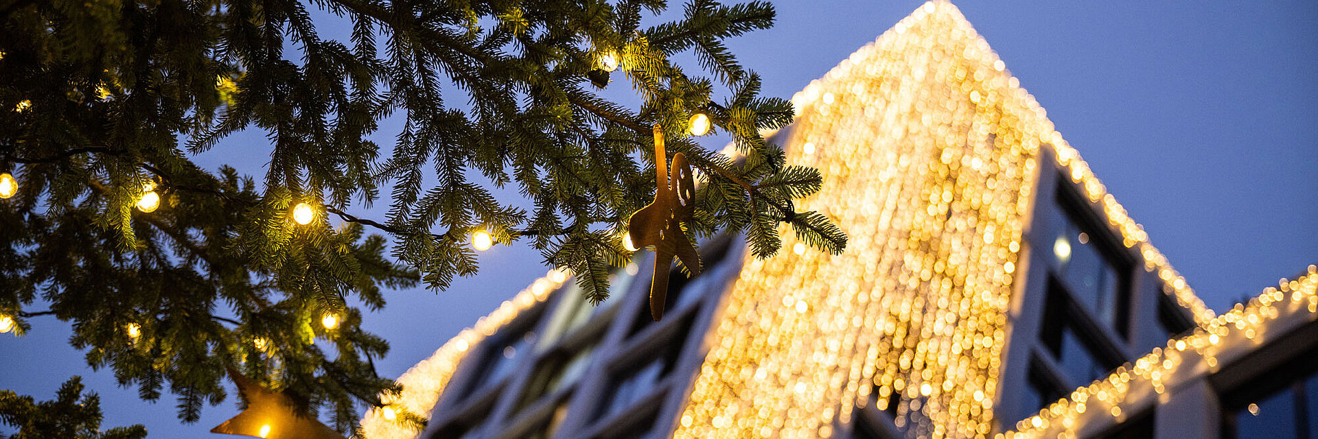 Blick von unten auf den mit Weihnachtsbeleuchtung geschmückten Blauen Bock mit Weihnachtsbaum im Vordergrund