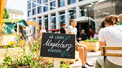 Schild "Wir lassen Magdeburg wachsen" im Hochbeet in Nachbars Garten