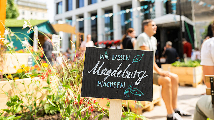 Schild "Wir lassen Magdeburg wachsen" im Hochbeet in Nachbars Garten