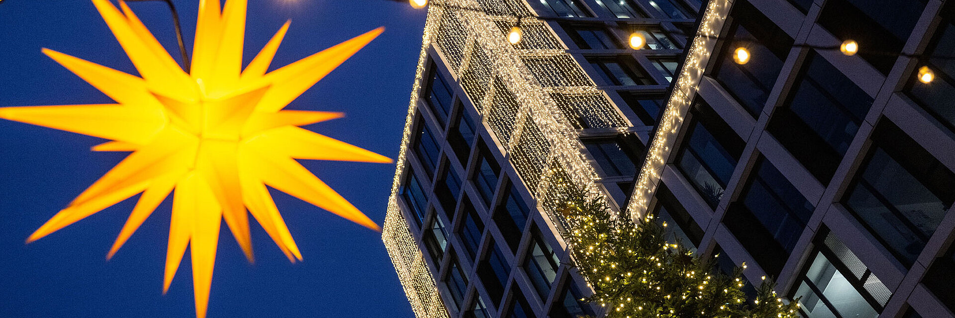 Gelber Herrnhuter Stern mit Blauen Bock mit Weihnachtsbeleuchtung im Hintergrund