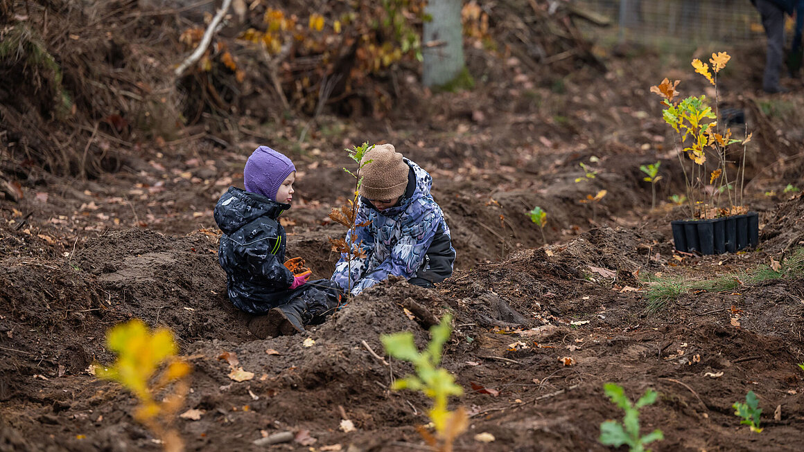 Zwei Kinder pflanzen Bäume im Waldgebiet Colbitz