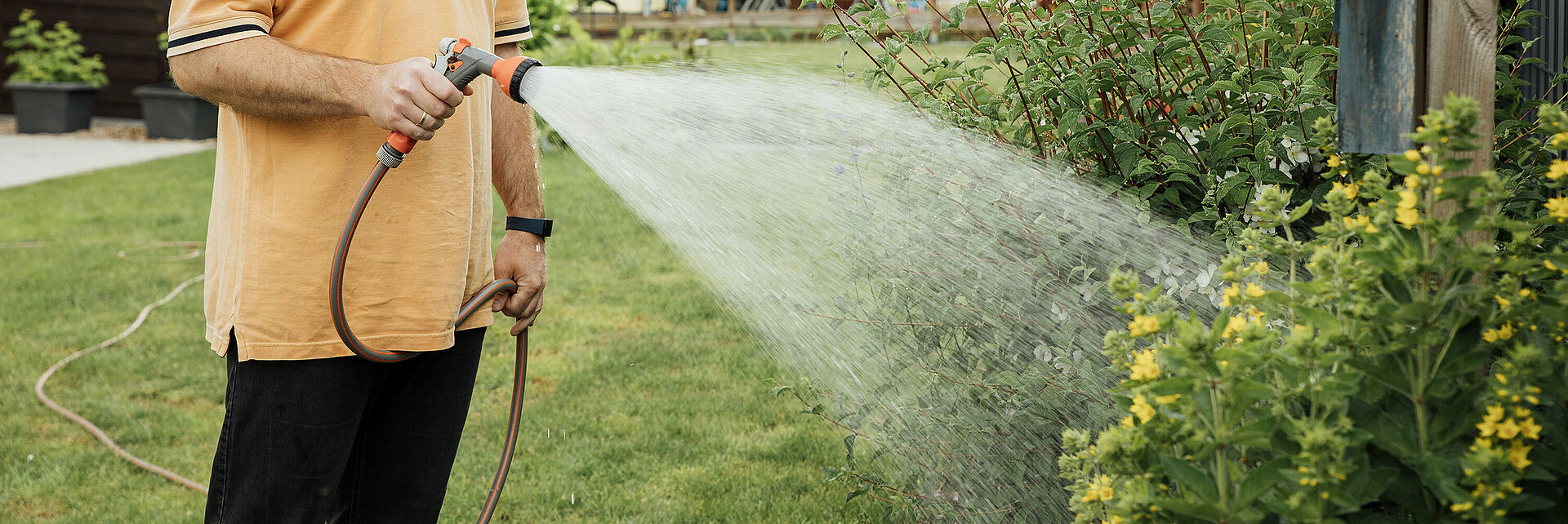 Ein Mann wässert seinen Garten mit einem Gartenschlauch.