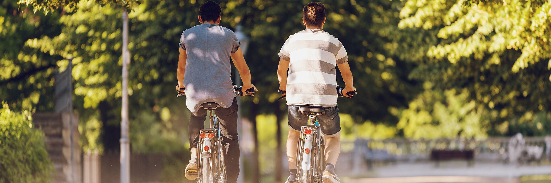 Zwei Männer fahren auf SWM E-Bikes im Sommer durch eine Allee in Magdeburg