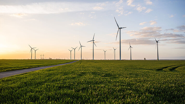 Windräder auf einem Feld in der Morgensonne